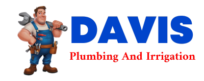 Trusted plumber in LAVINIA